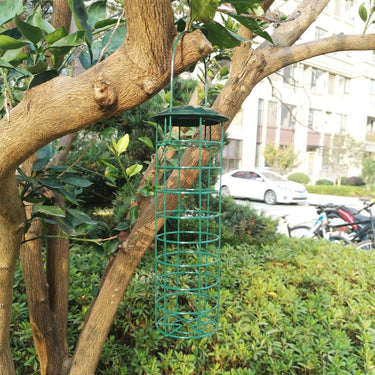 Mangeoire à oiseaux pour boules de graisse